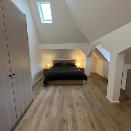 Le Douplex - Centre - Wifi - Netflix Appartamento Sélestat