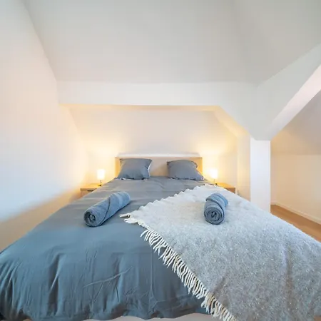Apartment Le Douplex - Centre - Wifi - Netflix Selestat