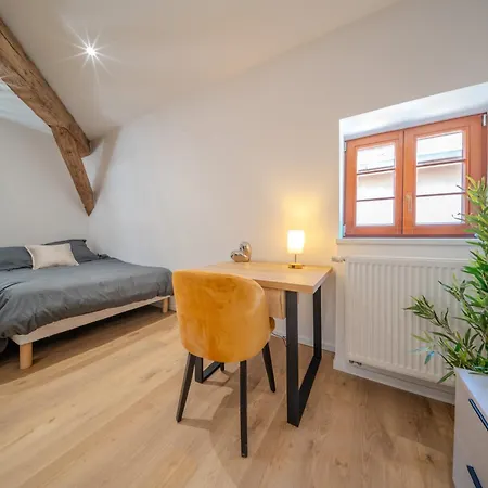 Le Douplex - Centre - Wifi - Netflix Apartmán Sélestat